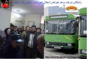 248782_134804050013176_906186526_n