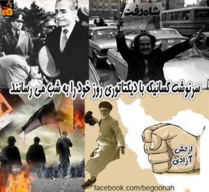 321469_137130036447244_1983869452_n