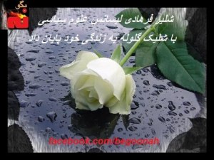 385348_134930433333871_1474958834_n