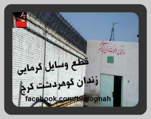 393056_135031279990453_502104203_n