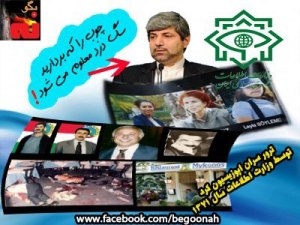 408660_137648543062060_108186065_n