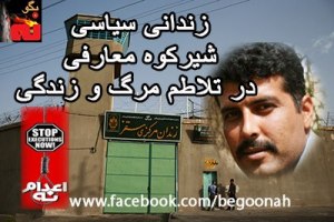 423095_142710165889231_1241327853_n