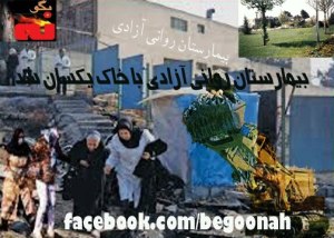 431224_135743083252606_899974532_n