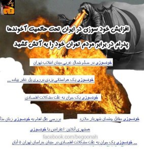 486122_137430383083876_1631570729_n