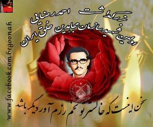 530606_142529215907326_169551875_n