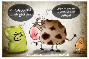 540064_142439269249654_1091323782_n