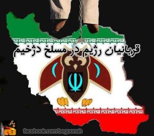 540064_142439269249654_1091323782_n