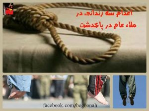 546919_137552666404981_1411761238_n