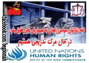 550358_142376285922619_1962534827_n