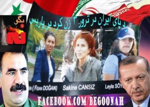 580593_136049239888657_726727803_n