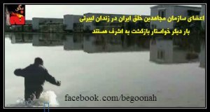 602739_136312583195656_1170640570_n