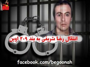 734737_141107789382802_2144331452_n