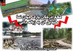 734737_141107789382802_2144331452_n