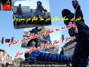 735117_137935899699991_1247403096_n