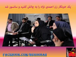 11723_150581738435407_104261529_n