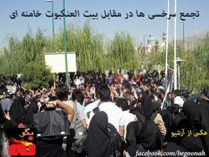 165969_150955235064724_518353795_n