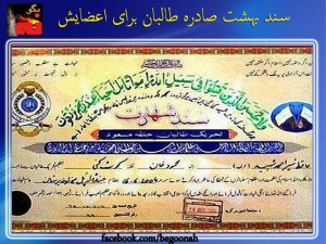 24313_151297981697116_1053643325_n