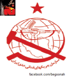 285242_147547785405469_250653084_n