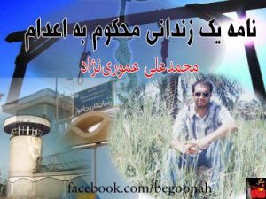 377768_149964708497110_732088898_n