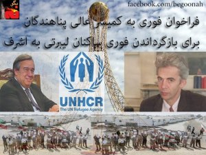 379269_147493445410903_1743017284_n