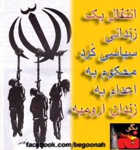 382275_149936991833215_1286646217_n