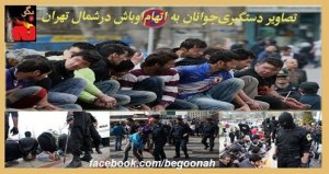 406320_150949761731938_301212063_n