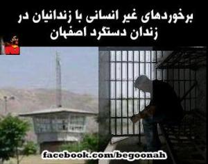 421937_150019071825007_1641669547_n