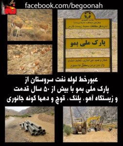 521348_150152485144999_78869695_n