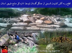 521687_146629568830624_1204232920_n