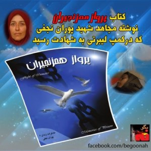 529455_146572308836350_730838696_n