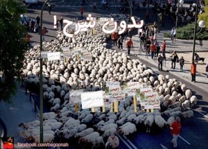 529462_146042422222672_725616839_n