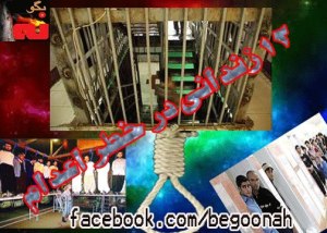 529861_143920722434842_1902660708_n