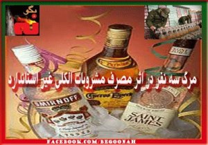 541427_150376008455980_618150703_n