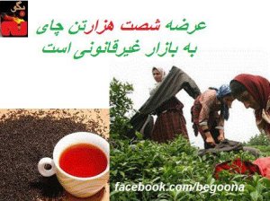 542763_149378098555771_1856657752_n