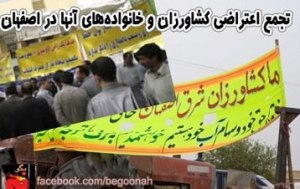 543699_146971538796427_134806094_n