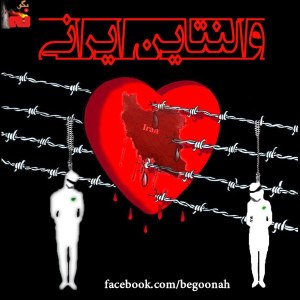 555793_147055015454746_1692789606_n