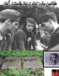 58443_148571985303049_1116985979_n