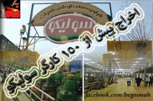 603947_146203015539946_1366988113_n