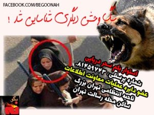 603947_146203015539946_1366988113_n