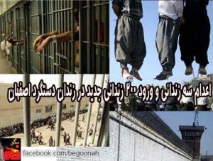 69216_145176515642596_475326069_n