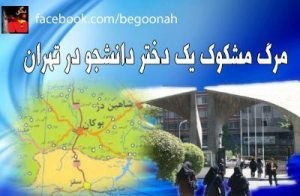 734954_149633235196924_1343926353_n