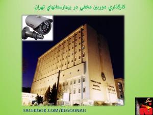 29007_155119354648312_721174057_n