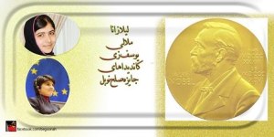 380982_153528534807394_610178060_n