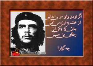 479822_155583111268603_1911772642_n