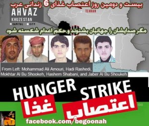 482344_160358620791052_1571040064_n