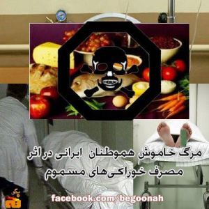 482868_161117474048500_126515872_n