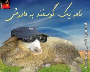 484211_159990357494545_387839373_n