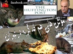 495_155445834615664_1823456937_n