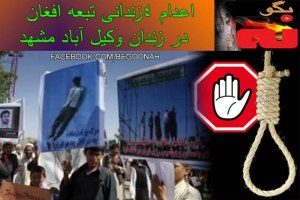 522577_153624968131084_826816688_n