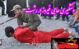 544407_155669564593291_1321970654_n